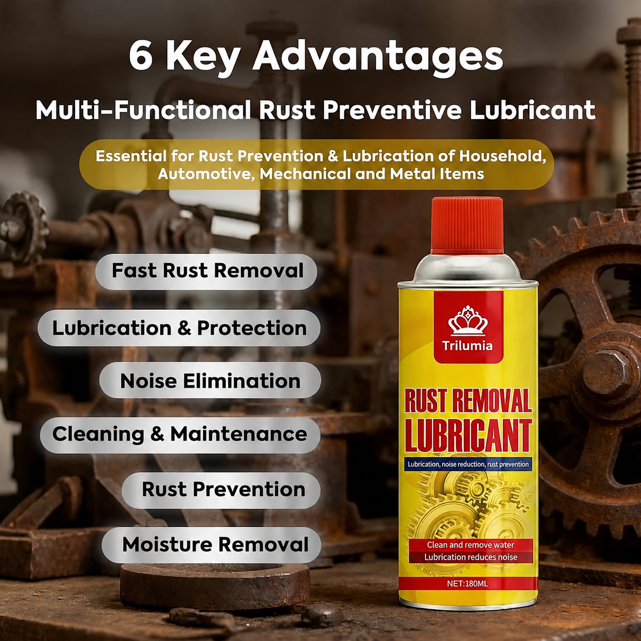 Anti-Rust Lubricating Spray & Rust Remover