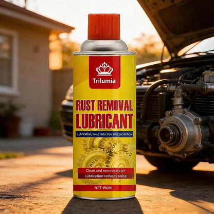 Anti-Rust Lubricating Spray & Rust Remover