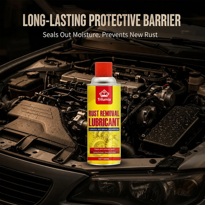 Anti-Rust Lubricating Spray & Rust Remover